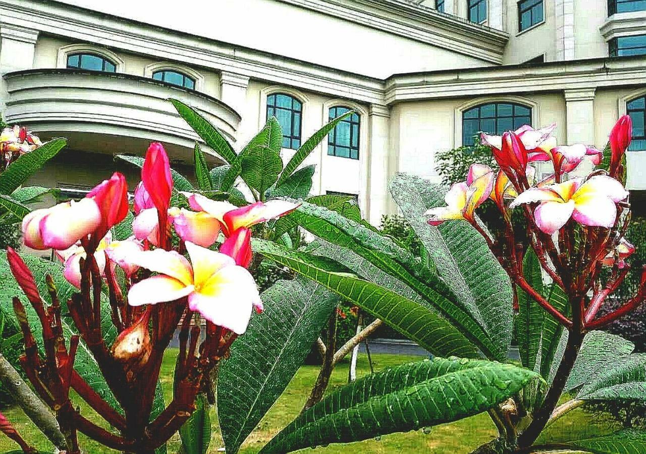 Ln Dongfang Hotel, Sihui Dış mekan fotoğraf
